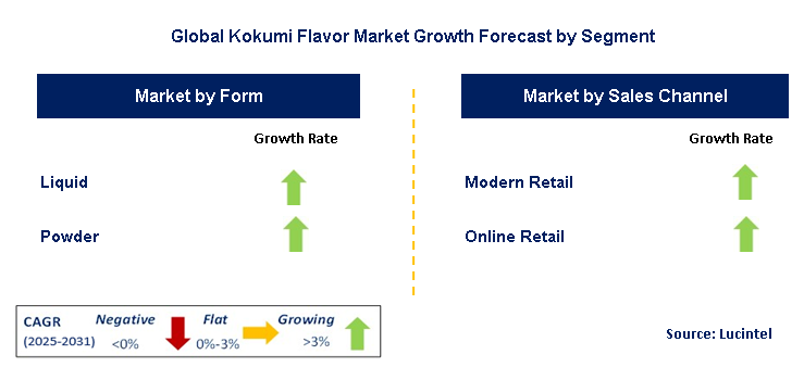 Kokumi Flavor Market by Segment