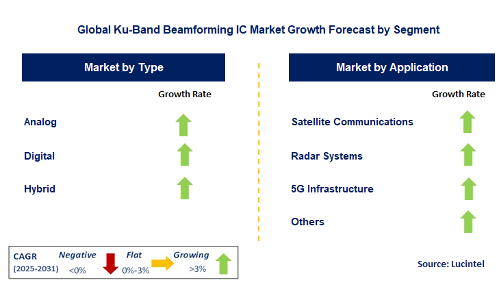 Ku-Band Beamforming IC Market by Segment