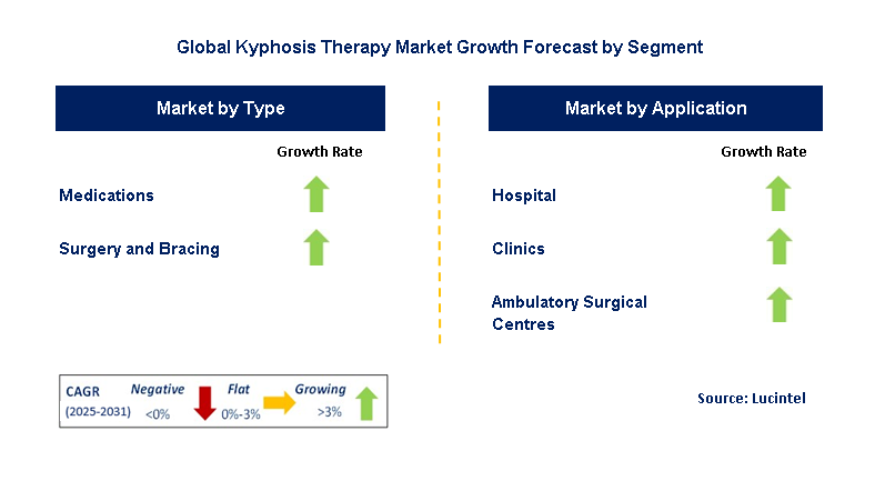 Kyphosis Therapy Market by Segment