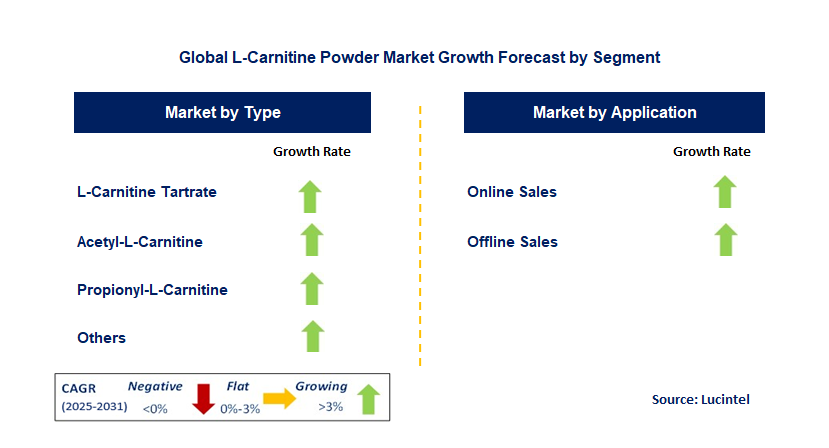 L-Carnitine Powder Market by Segment