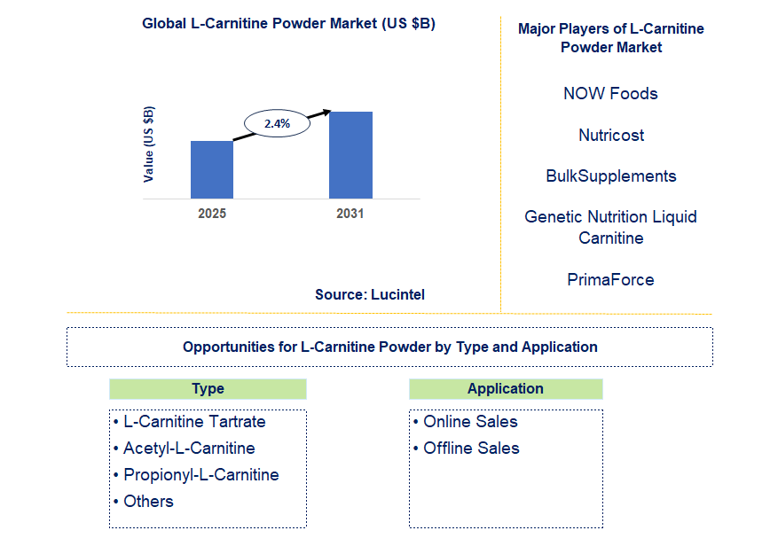 L-Carnitine Powder Market Trends and Forecast