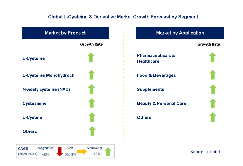 L-Cysteine & Derivative Market by Segment