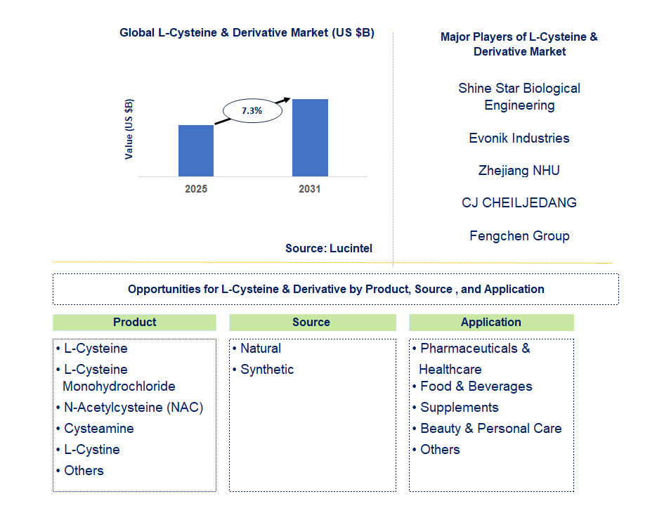 L-Cysteine & Derivative Market Trends and Forecast