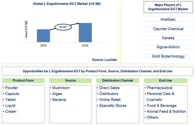 L Ergothioneine EGT Trends and Forecast