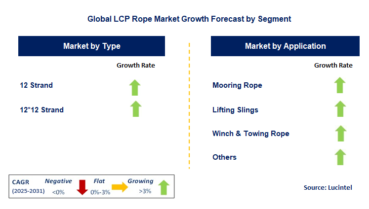 LCP Rope Market by Segment