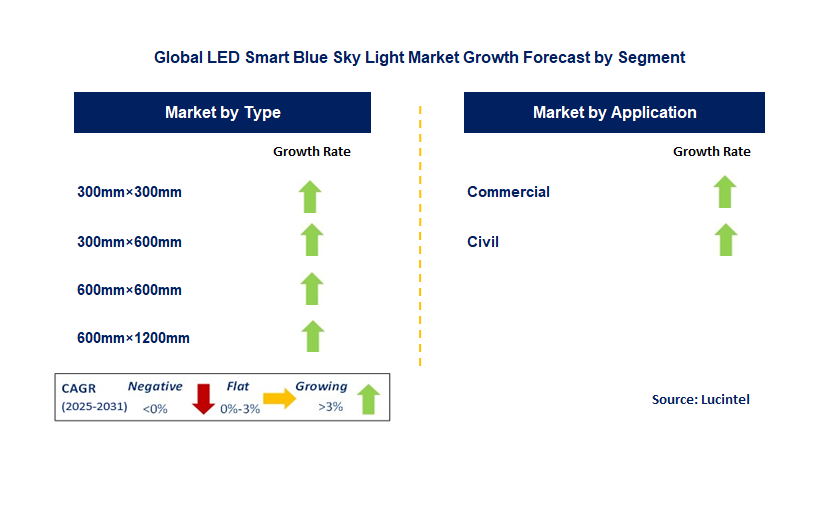 LED Smart Blue Sky Light Market by Segment