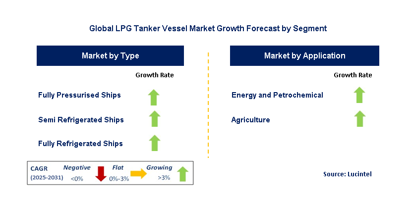 LPG Tanker Vessel Market by Segment