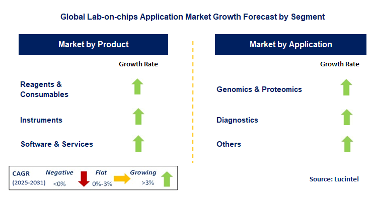 Lab-on-chips Application Market by Segment