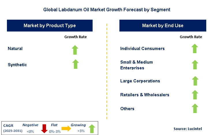Labdanum Oil Market by Segment