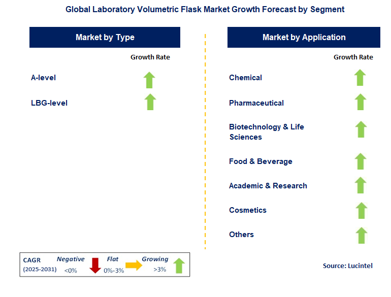Laboratory Volumetric Flask Market by Segment
