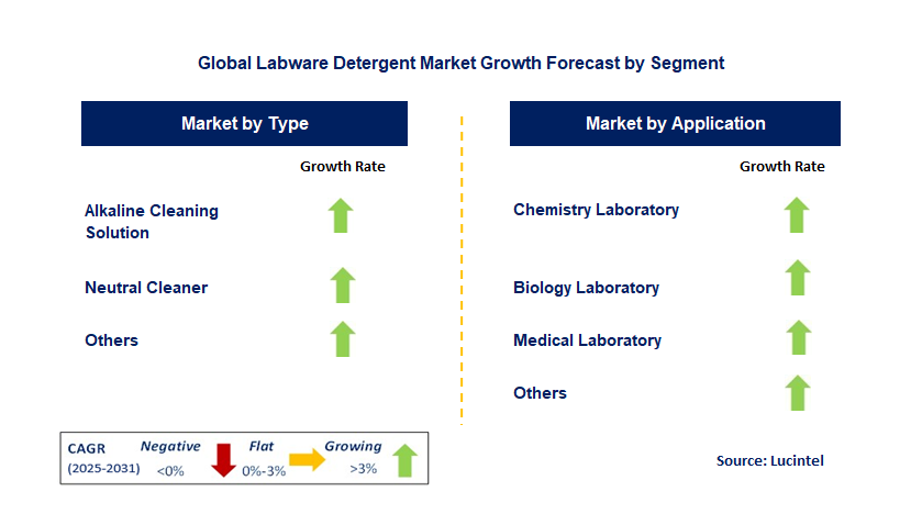 Labware Detergent Market by Segment