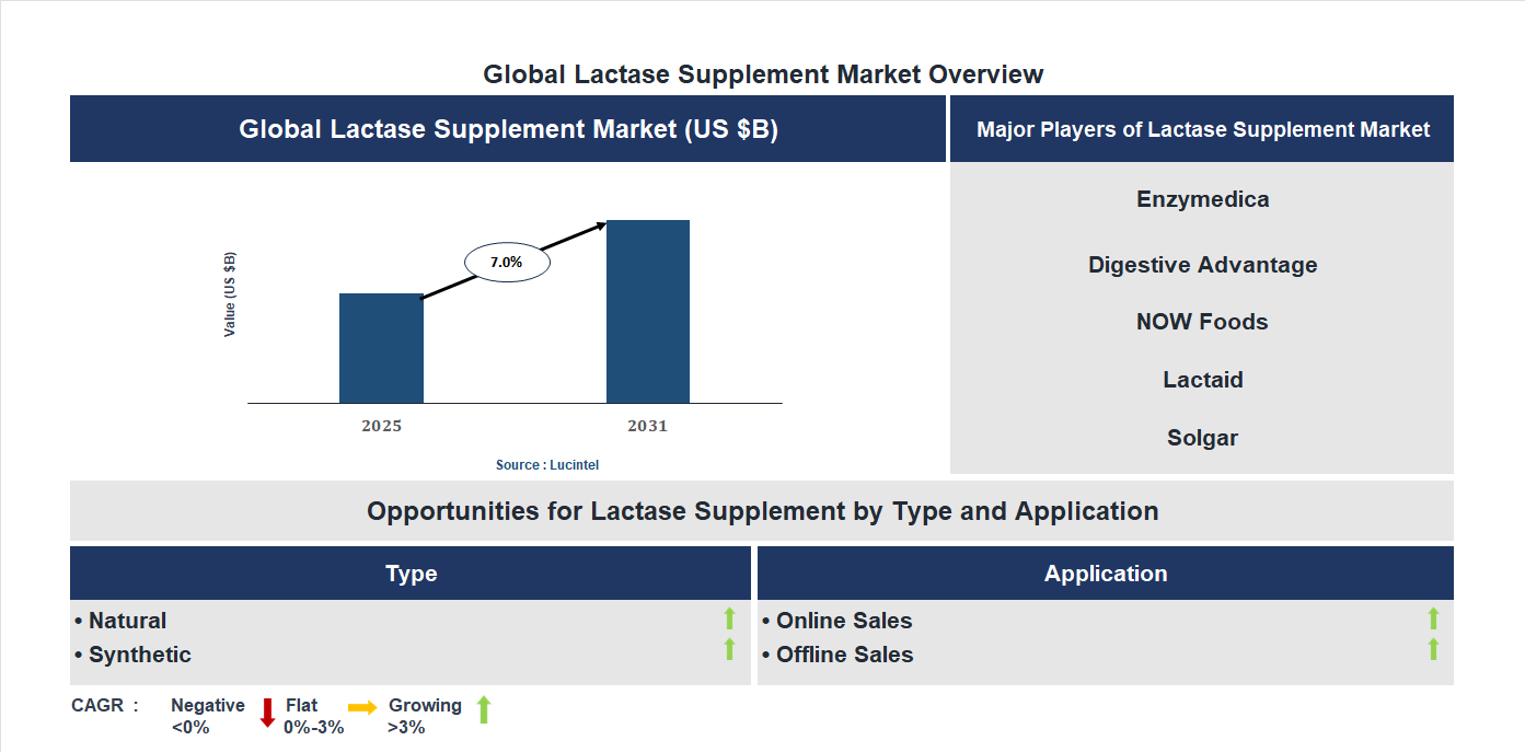 Lactase Supplement Market Trends and Forecast Lactase Supplement Market Trends and Forecast