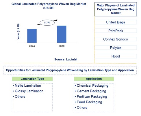 Laminated Polypropylene Woven Bag Trends and Forecast