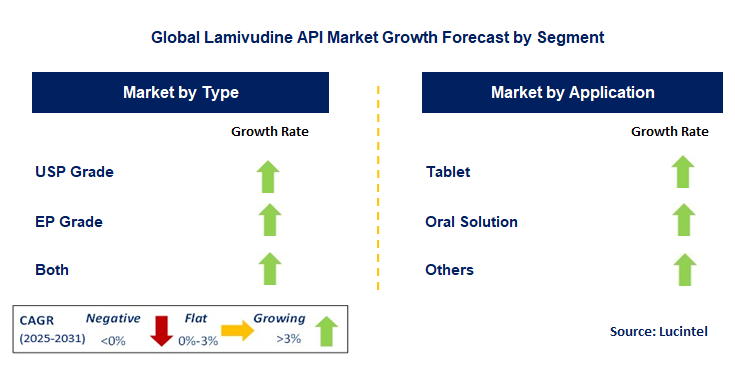 Lamivudine API Market by Segment
