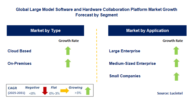 Large Model Software And Hardware Collaboration Platform Market by Segment