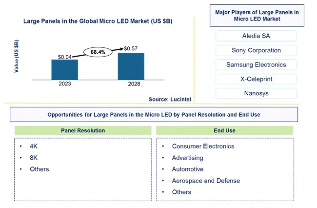 Large Panels in the Micro LED Market by Panel rRsolution, End Use, and Region