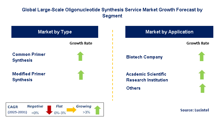 Large-Scale Oligonucleotide Synthesis Service Market by Segment