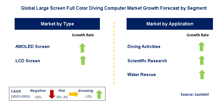 Large Screen Full Color Diving Computer Market by Segment