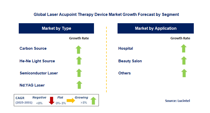 Laser Acupoint Therapy Device Market by Segment