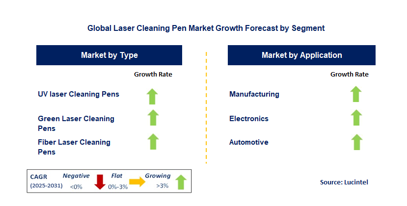 Laser Cleaning Pen Market by Segment