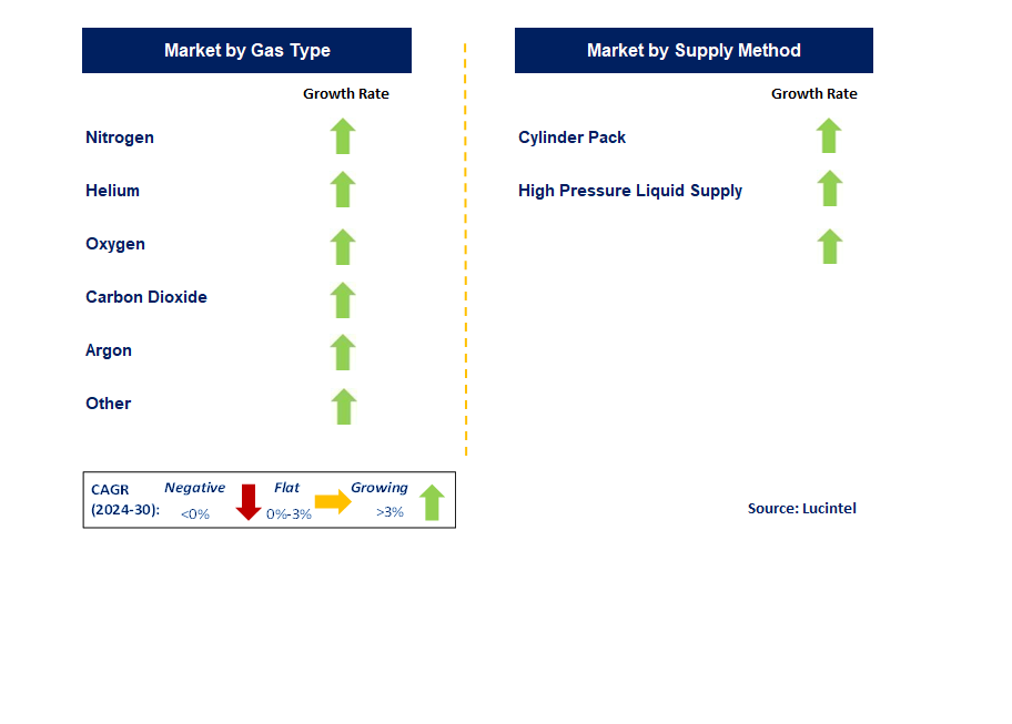 Laser Gas Supply Service by Segment