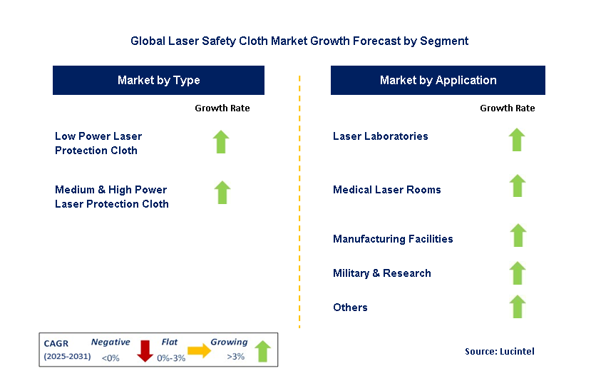 Laser Safety Cloth Market by Segment