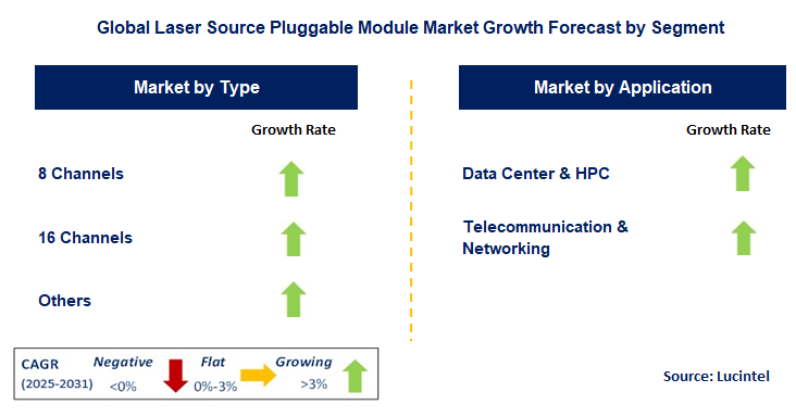 Laser Source Pluggable Module Market by Segment