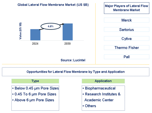 Lateral Flow Membrane Trends and Forecast