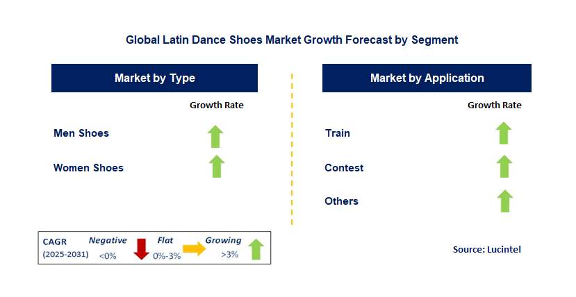 Latin Dance Shoes Market by Segment