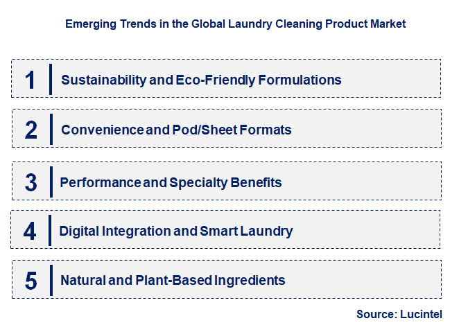 Emerging Trends in the Laundry Cleaning Product Market