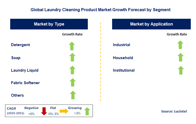 Laundry Cleaning Product Market by Segment