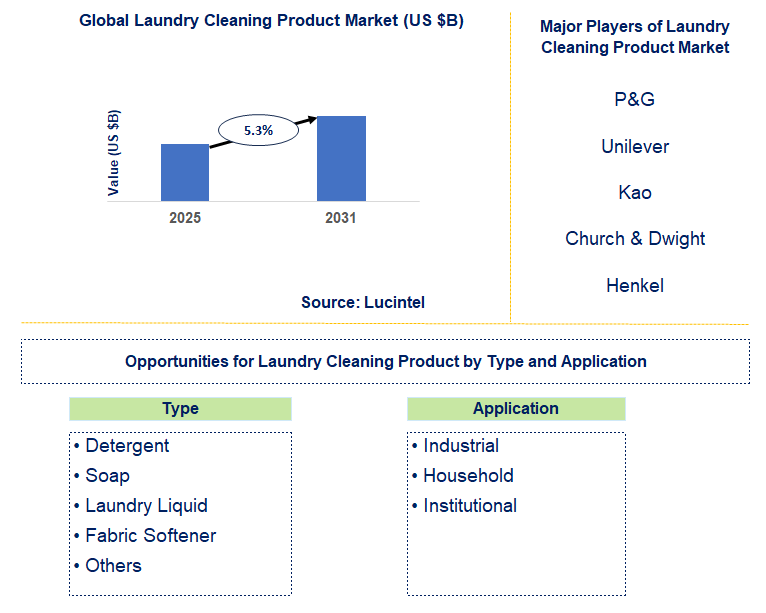 Laundry Cleaning Product Market Trends and Forecast