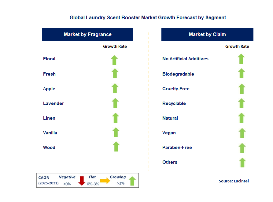 Laundry Scent Booster Market by Segment