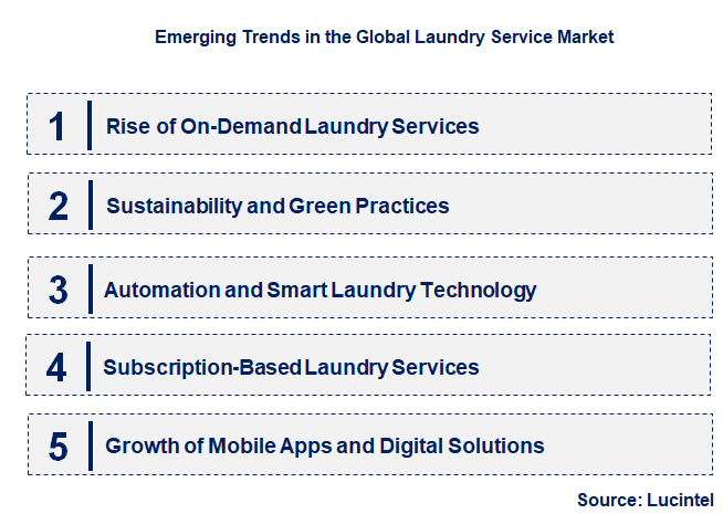 Emerging Trends in the Laundry Service Market