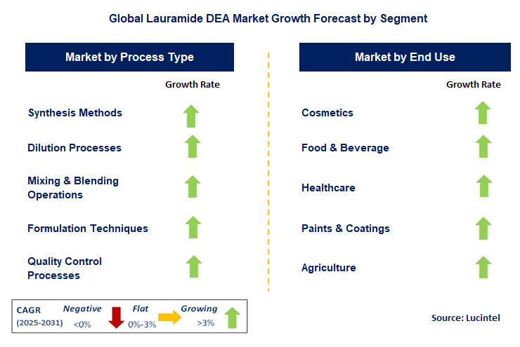 Lauramide DEA Market by Segment
