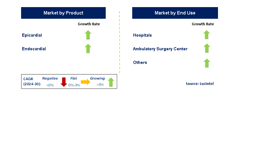 Left Atrial Appendage Closure Devices by Segment