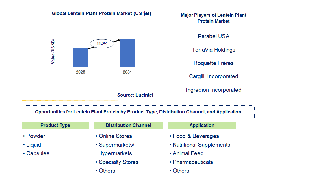 Lentein Plant Protein Market Trends and Forecast