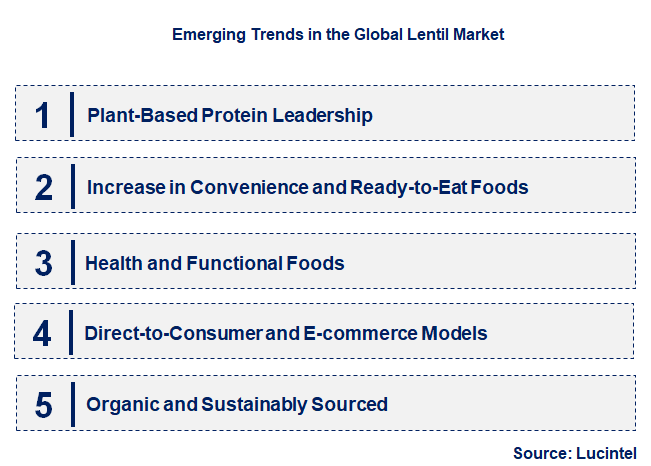 Emerging Trends in the Lentil Market