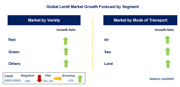 Lentil Market by Segment
