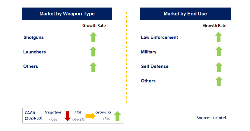 Less Lethal Ammunition by Segment