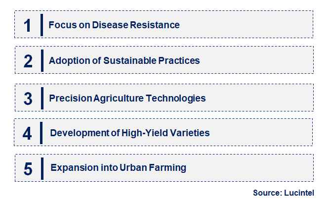 Emerging Trends in the Lettuce Seeds Market