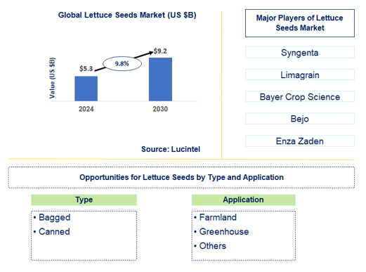 Lettuce Seeds Market Trends and Forecast
