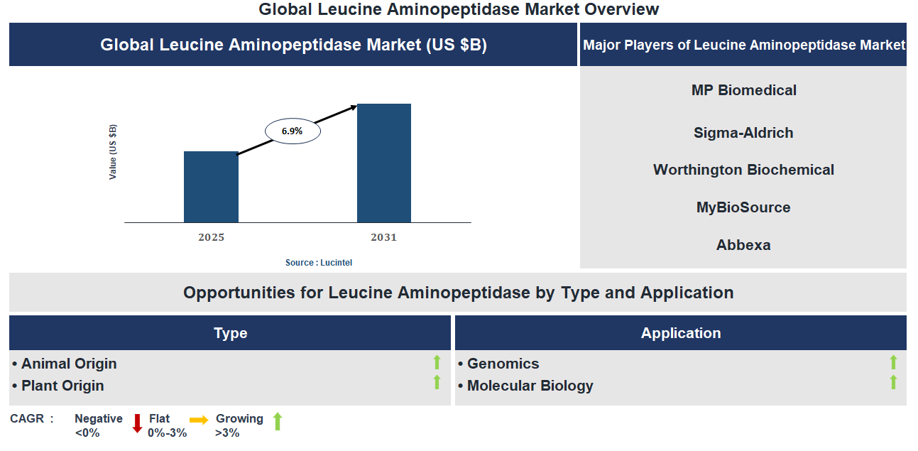 Leucine Aminopeptidase Market Trends and Forecast