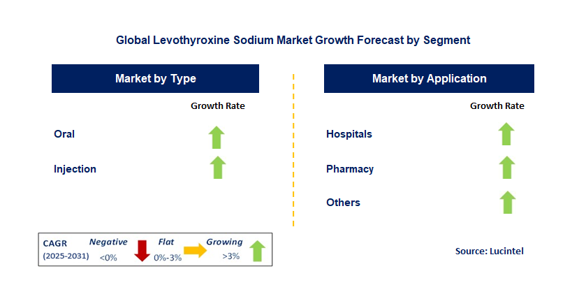 Levothyroxine Sodium Market by Segment