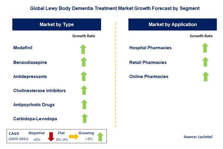 Lewy Body Dementia Treatment Market by Segment