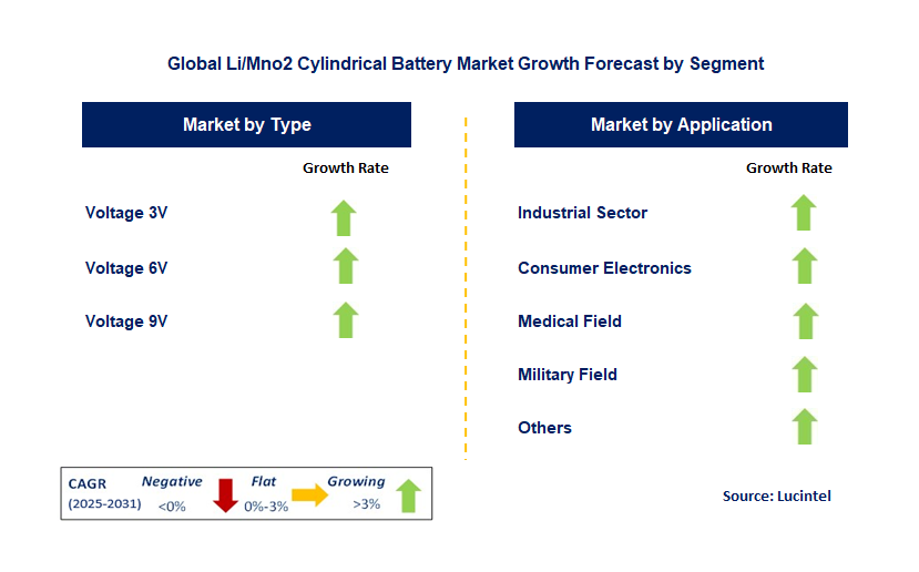 Li/Mno2 Cylindrical Battery Market by Segment