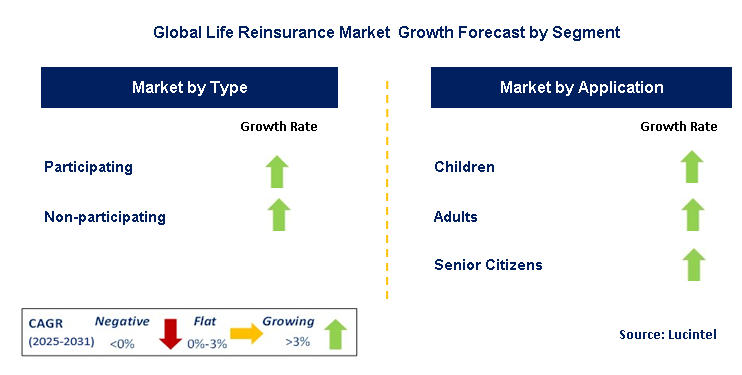 Life Reinsurance Market by Segment