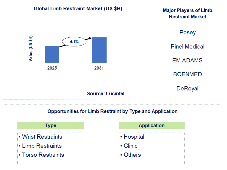 Limb Restraint Market Trends and Forecast