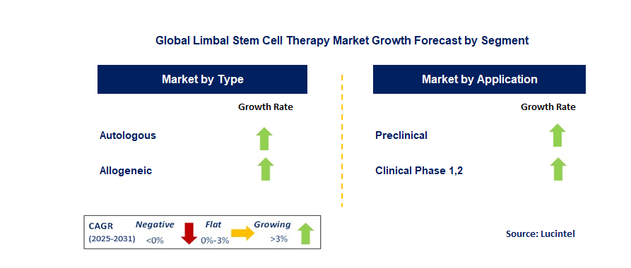 Limbal Stem Cell Therapy Market by Segment