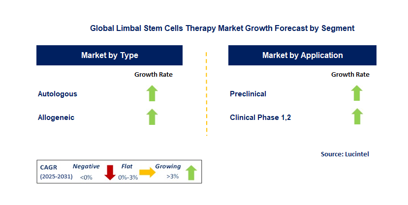 Limbal Stem Cells Therapy Market by Segment